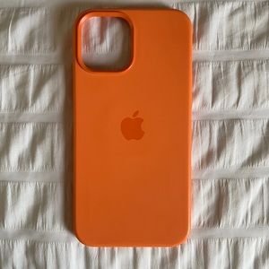 iPhone 12 Pro Max Apple Case